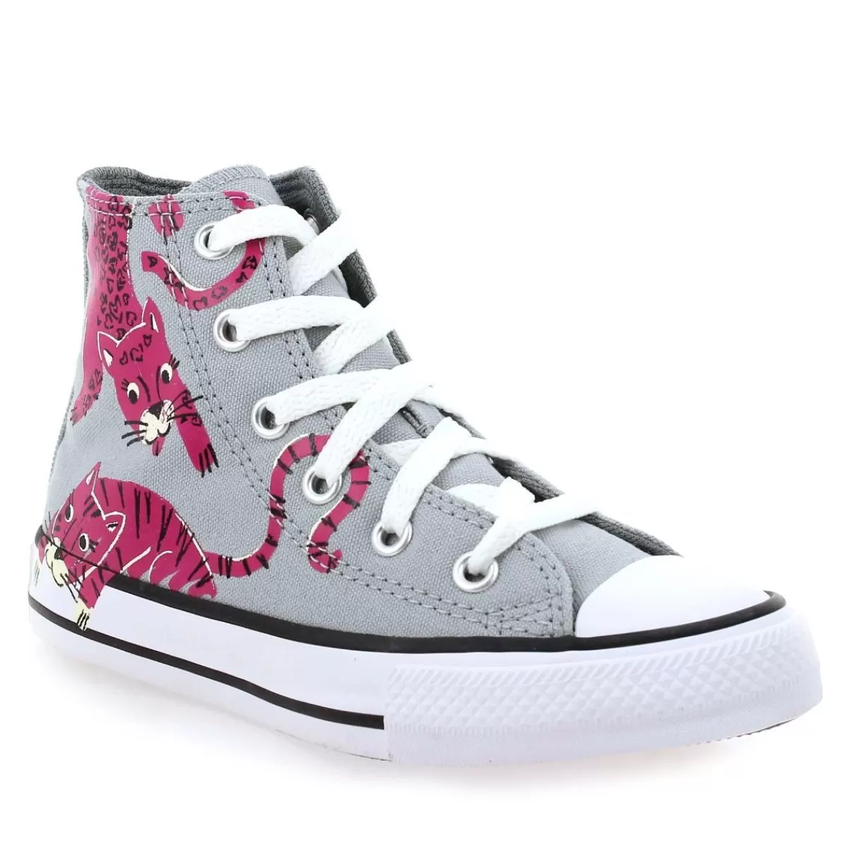 Converse Basket | Ctas Hi Ev Leopard H21 - Gris Rose