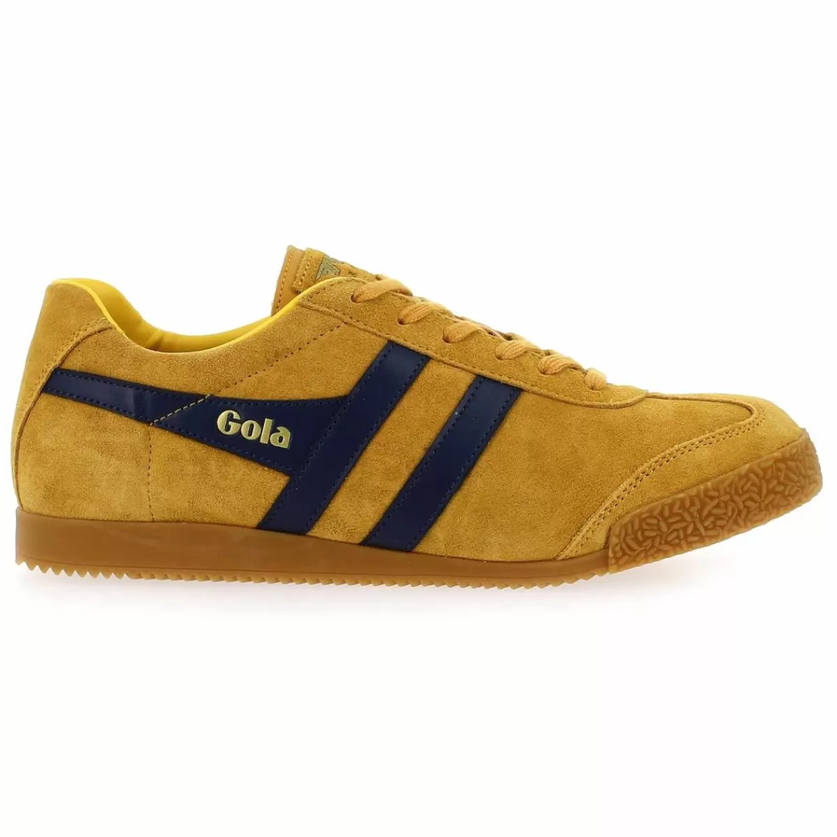 Gola Basket | Harrier - Jaune Marine