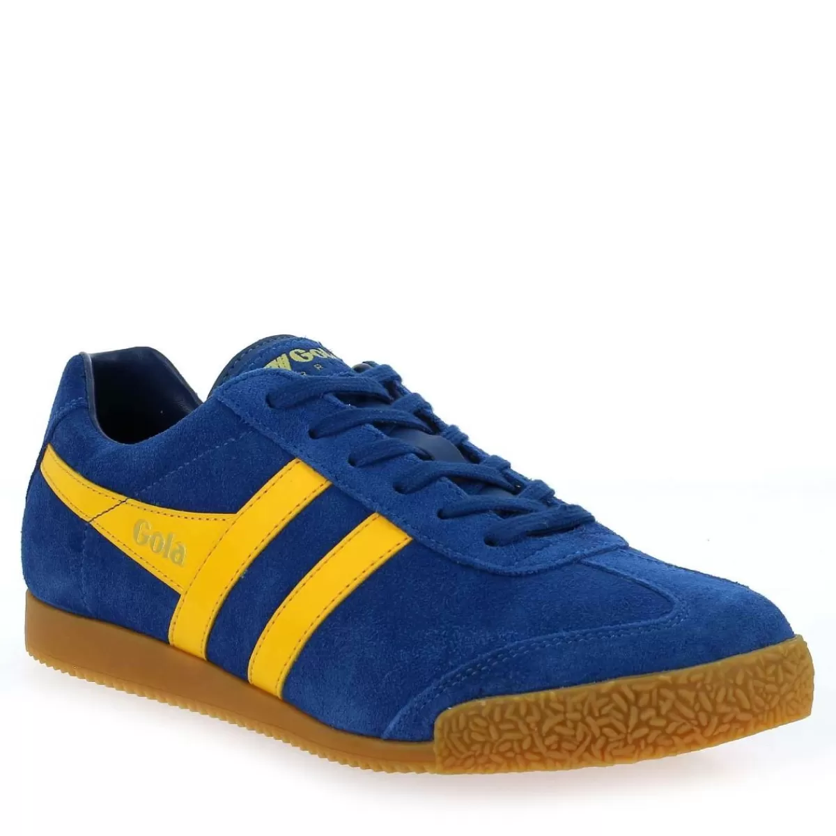 Gola Basket | Harrier Cma192 - Bleu Jaune