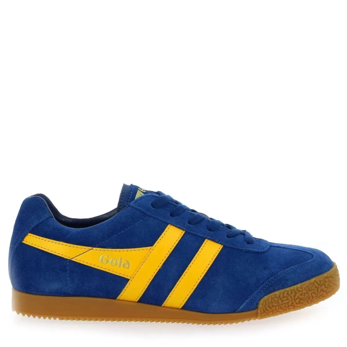 Gola Basket | Harrier Cma192 - Bleu Jaune