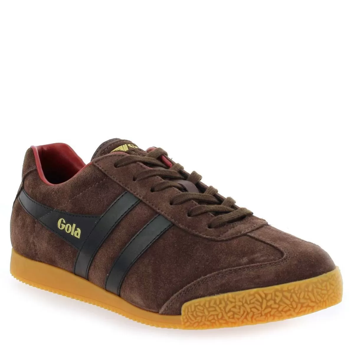 Gola Basket | Harrier Cma192 - Marron Noir