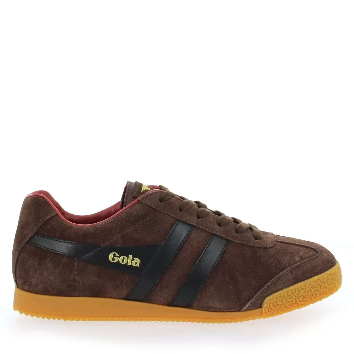 Gola Basket | Harrier Cma192 - Marron Noir