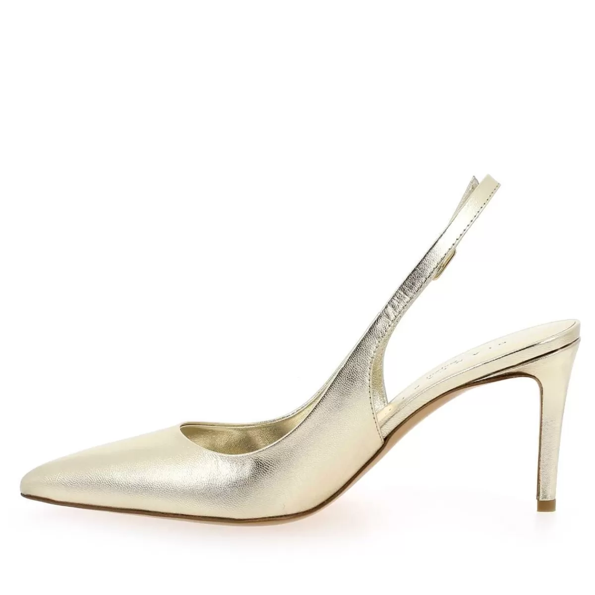 Jade 1204 - Platine*Giancarlo Flash Sale