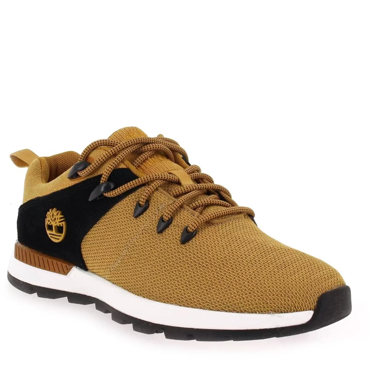 Timberland Basket | Sprint Trekker Low Knit - Camel