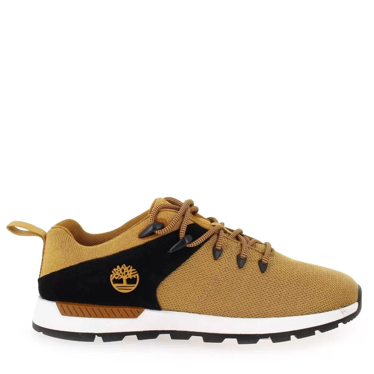 Timberland Basket | Sprint Trekker Low Knit - Camel