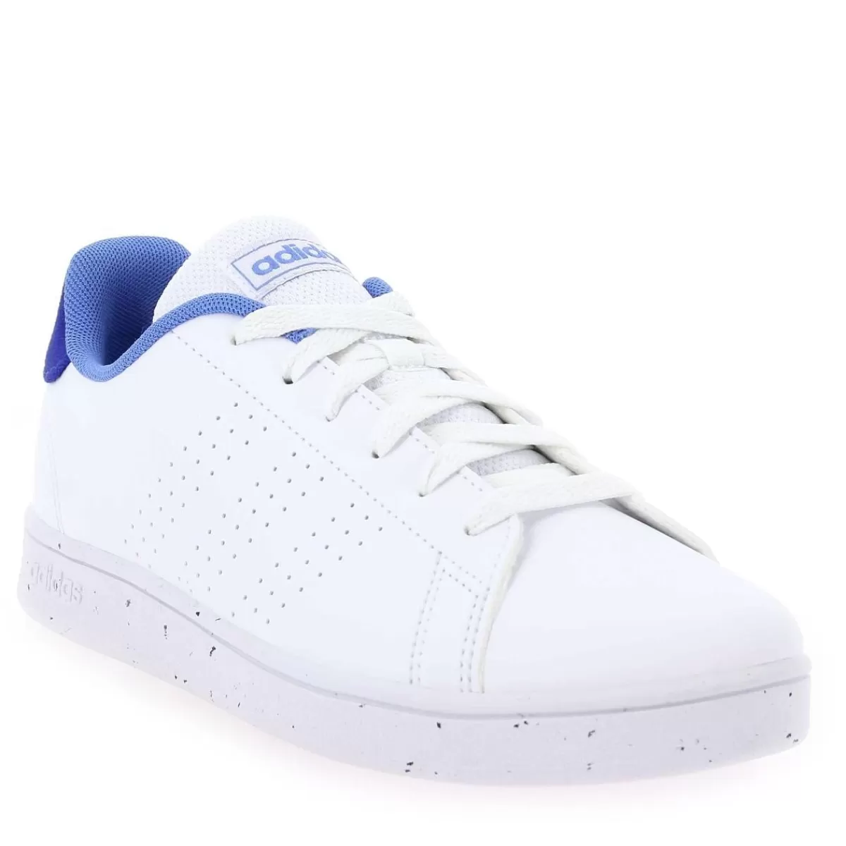 Adidas Originals Basket | Advantage - Blanc Bleu