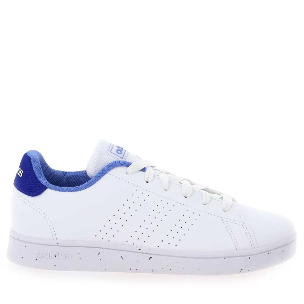 Adidas Originals Basket | Advantage - Blanc Bleu