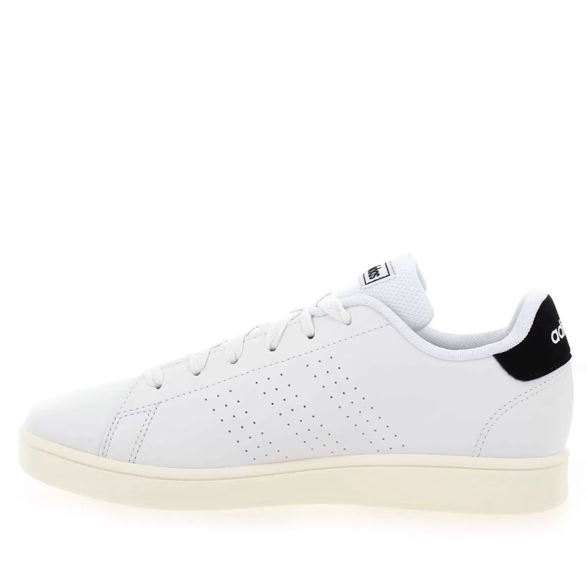 Adidas Originals Basket | Advantage - Blanc Noir